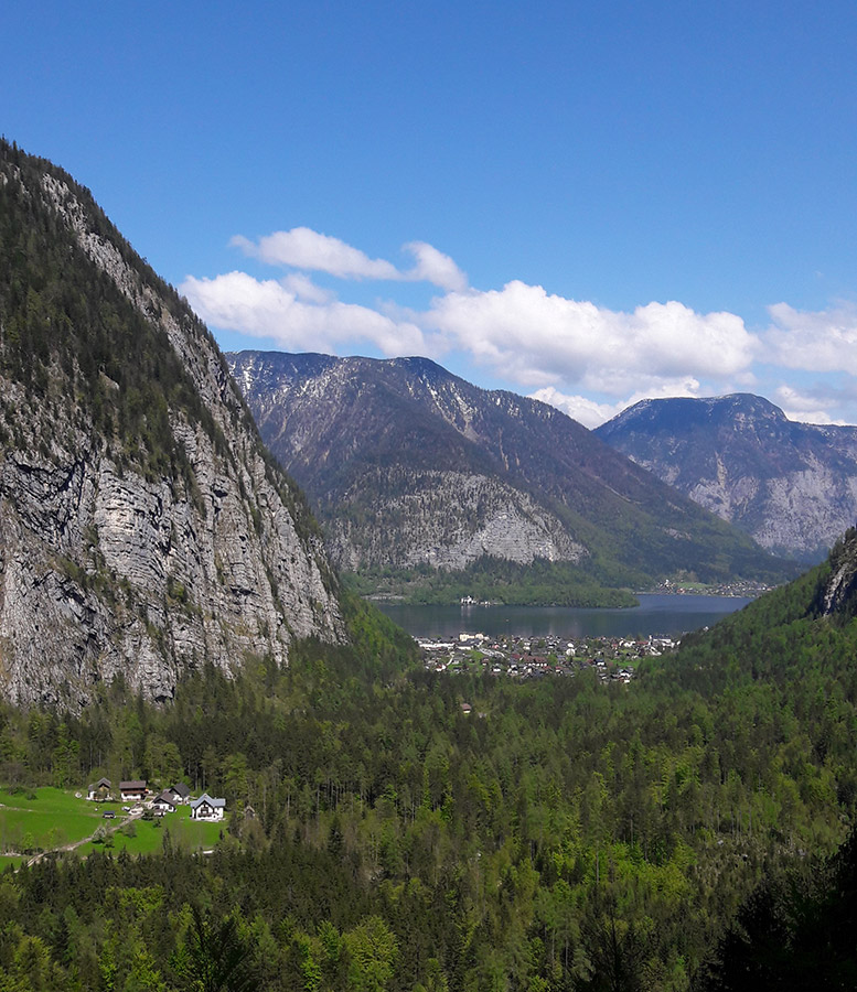 Blick auf Hallstatt