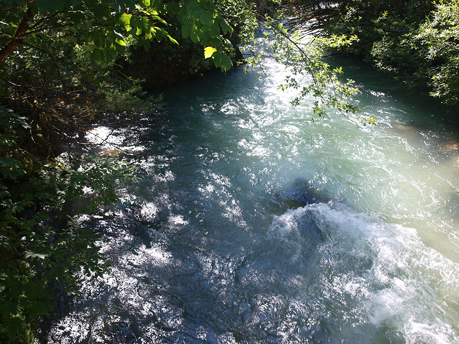 Wildromantischer Waldbach im Echerntal